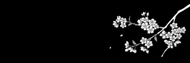 Fernandaagvi's profile banner image