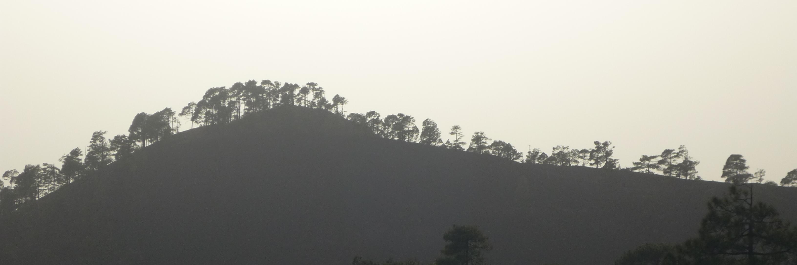 Marcia Dijkstra banner