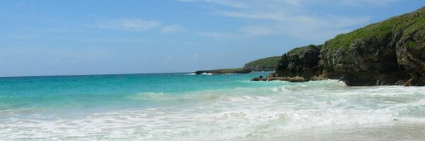 bafish10 Profile Banner