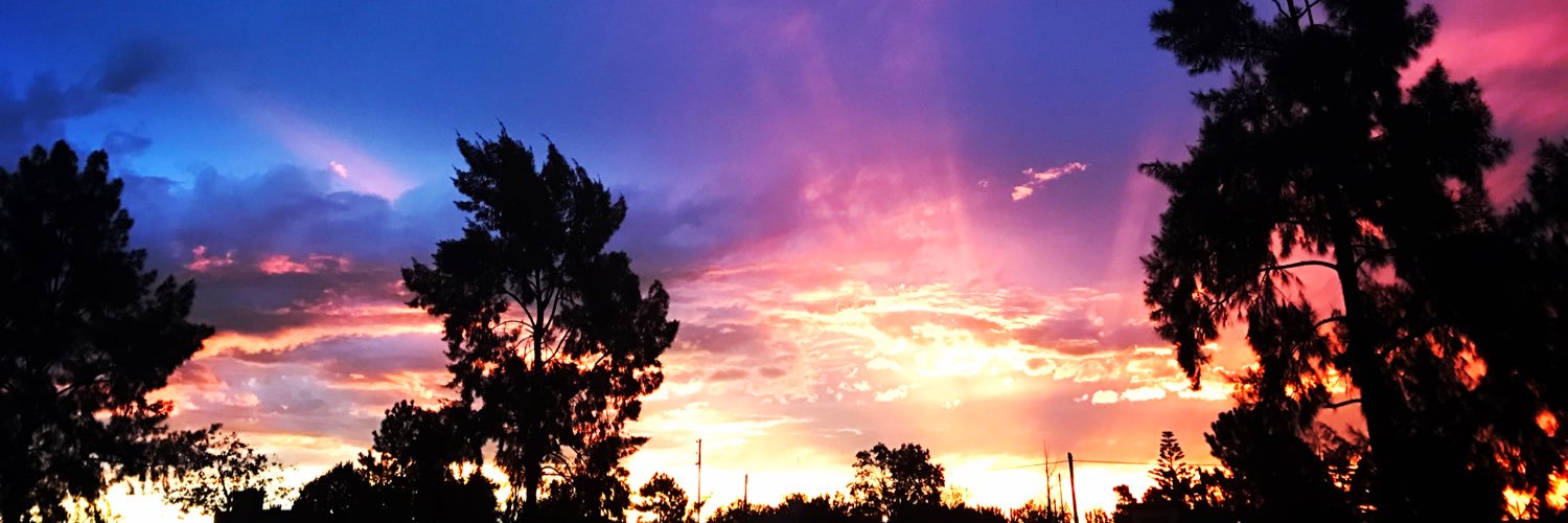 Vane_Michalik's profile banner image