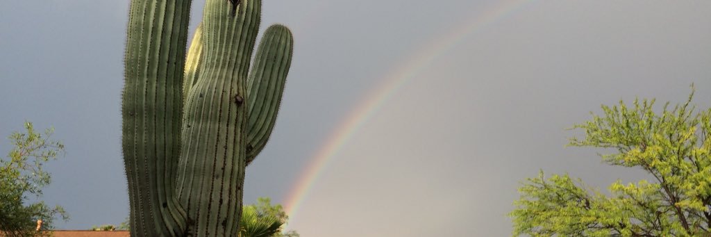 BuckeyesDrew's profile banner image