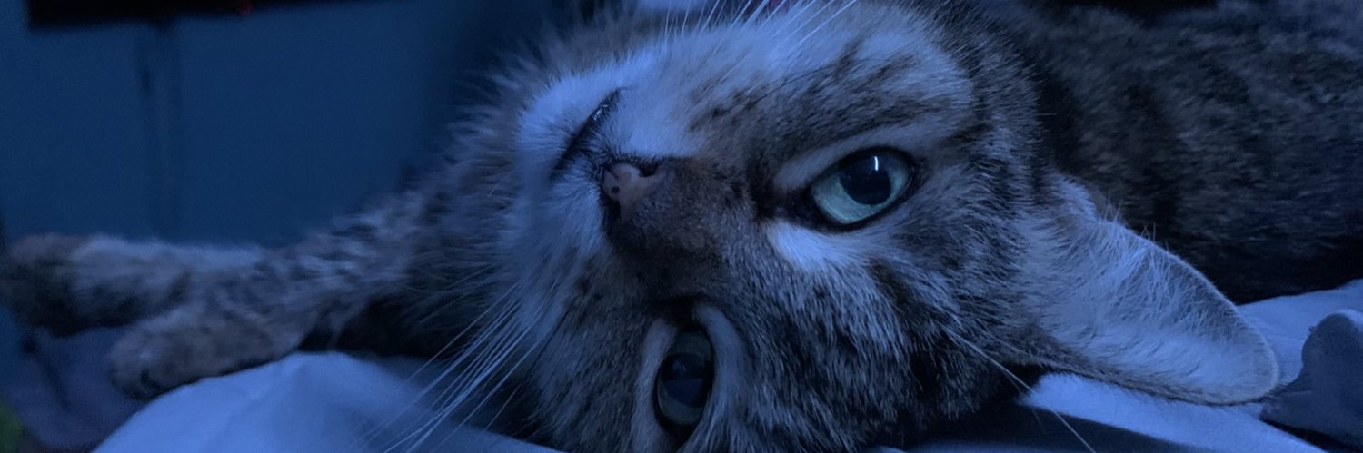 GabiLenzo's profile banner image