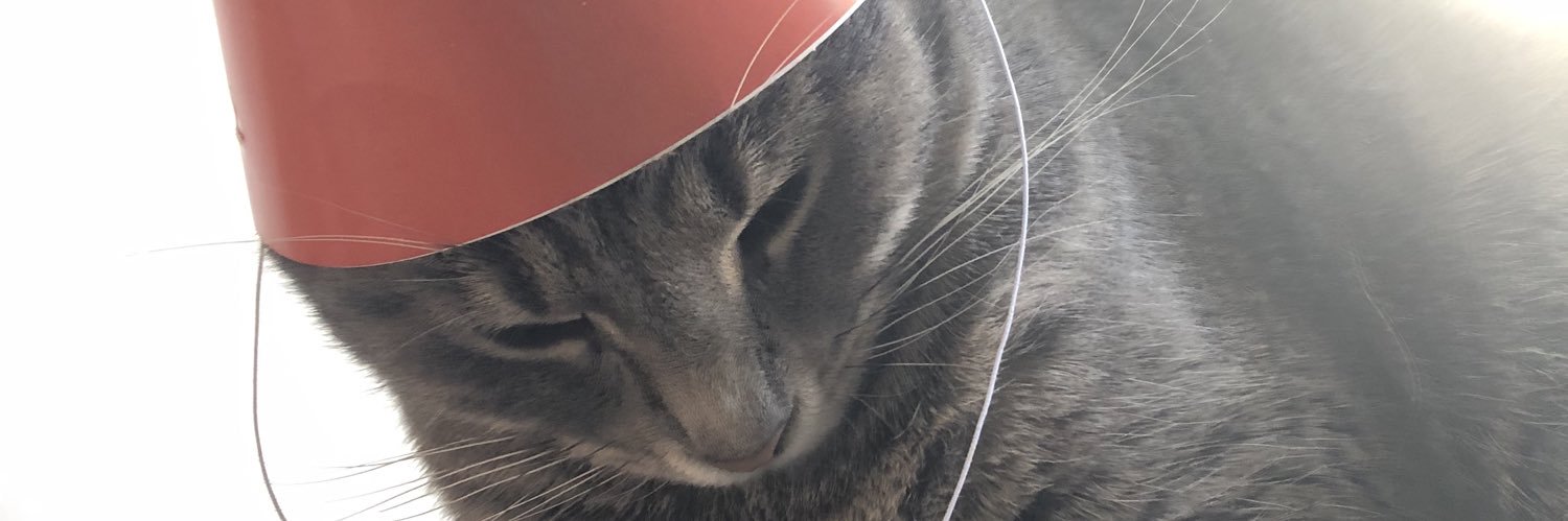 Quantum Mechanic banner