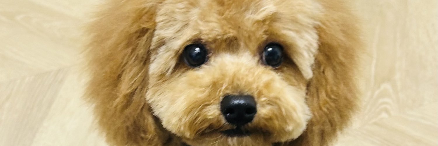 ラビットスズ banner