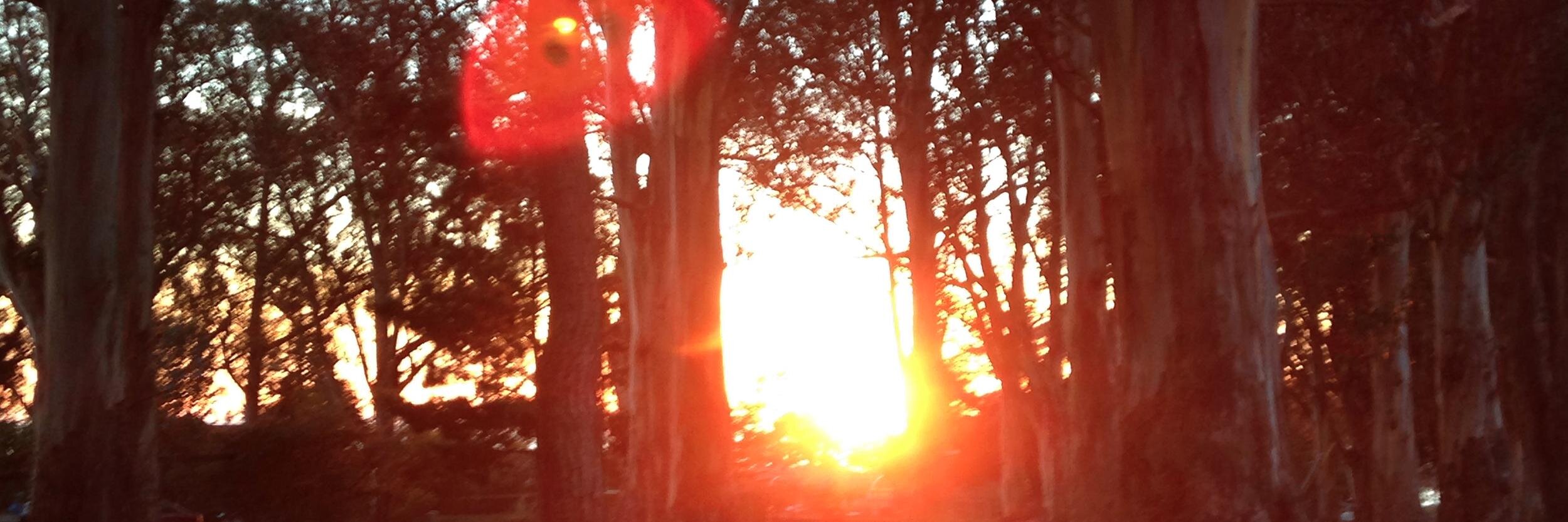 Dominic Bigue banner