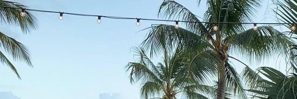 madisbiscus Profile Banner