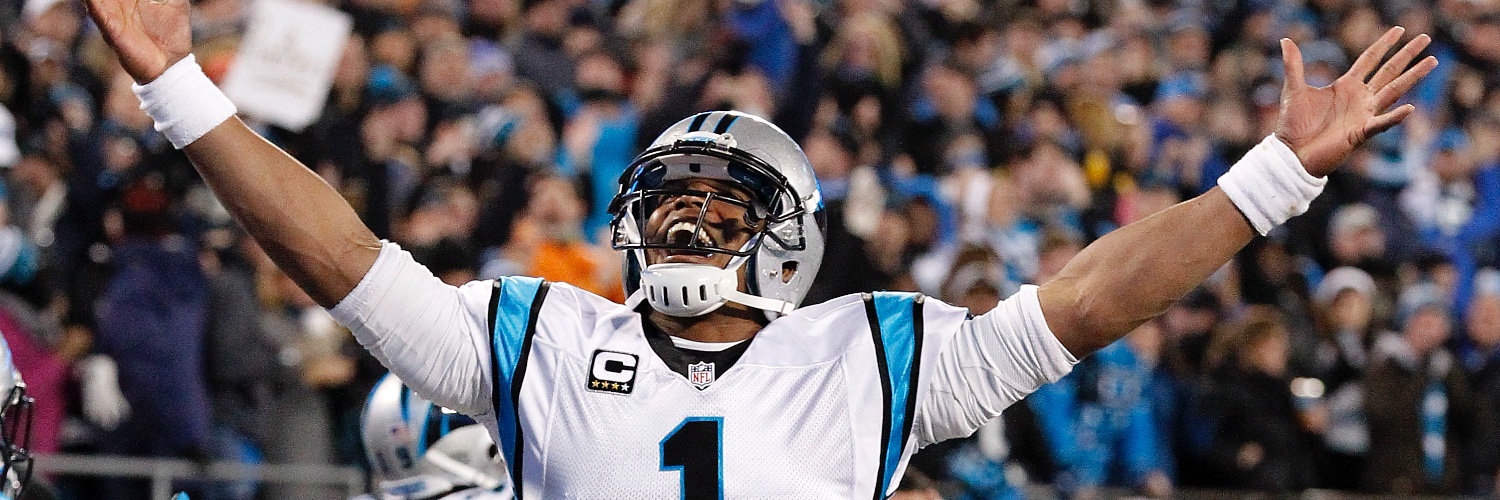 TheMockingjay38 banner