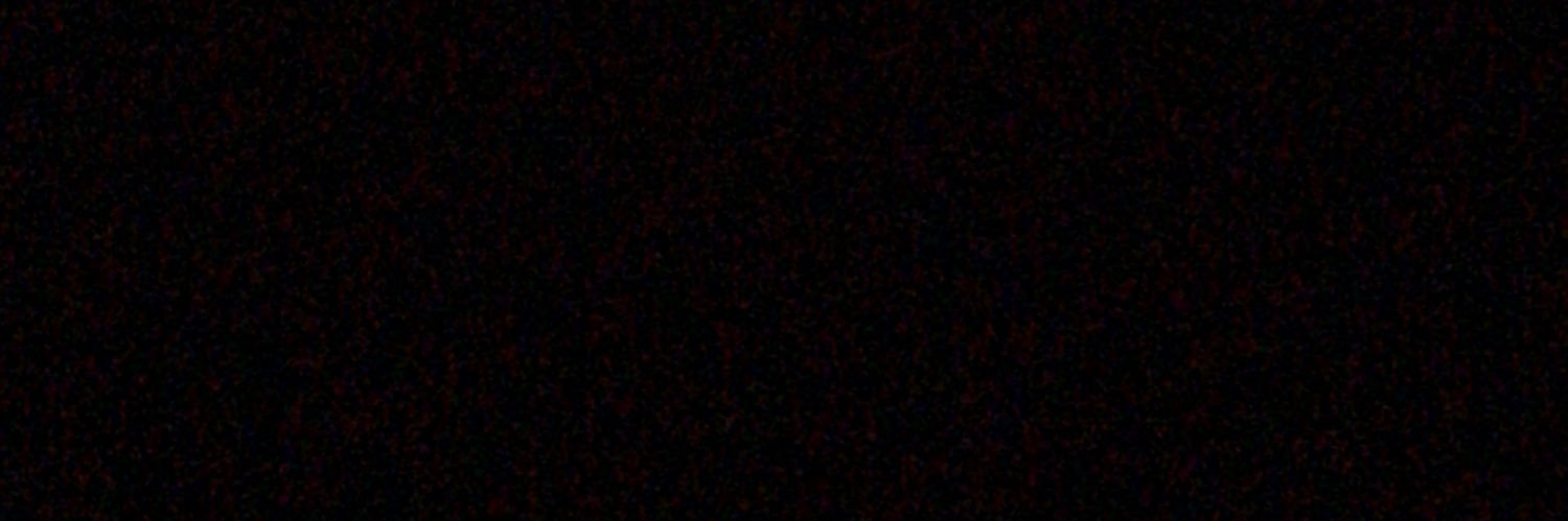 elsicariook's profile banner image