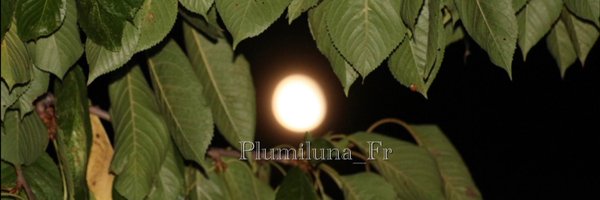 Plumiluna_Fr Profile Banner