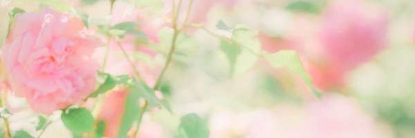 mernonnon Profile Banner
