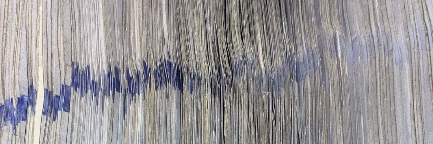 frauduInt's profile banner image