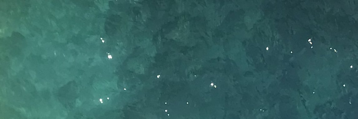 hannahfinney_'s profile banner image