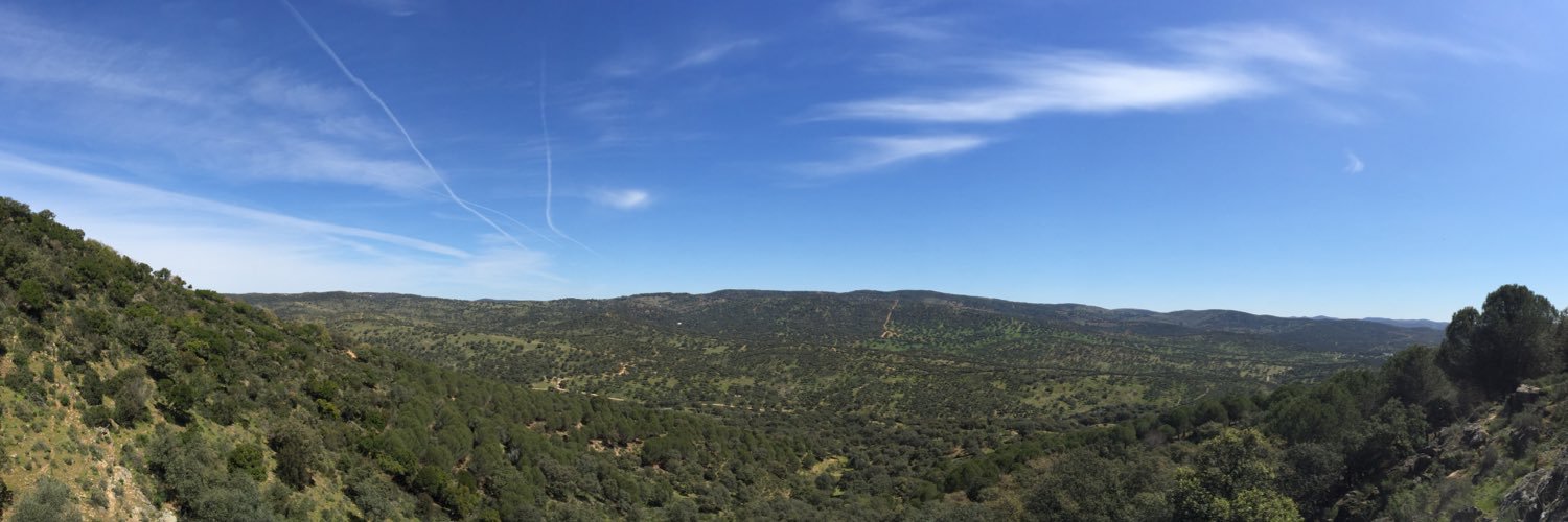 PedroPeace7's profile banner image