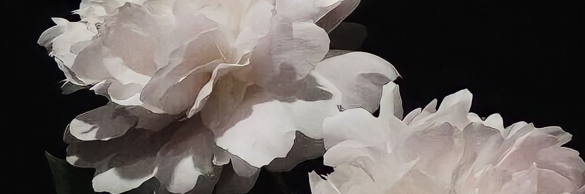 ursqa's profile banner image