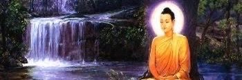 mindbodhii's profile banner image
