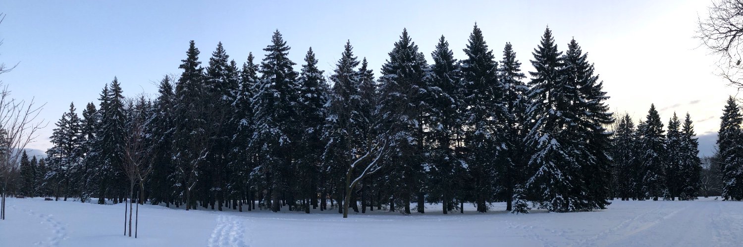 Angelo Stavrow banner