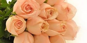 yulanndaa's profile banner image