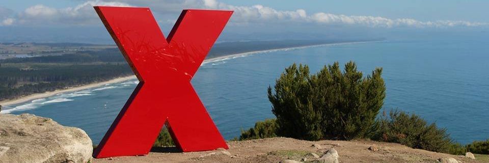 TEDxTauranga banner