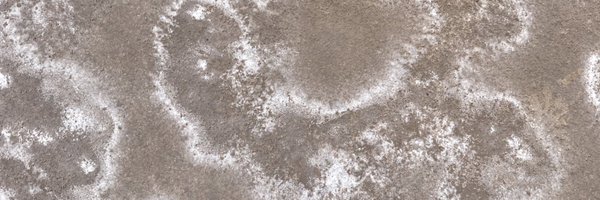 Cajme Profile Banner