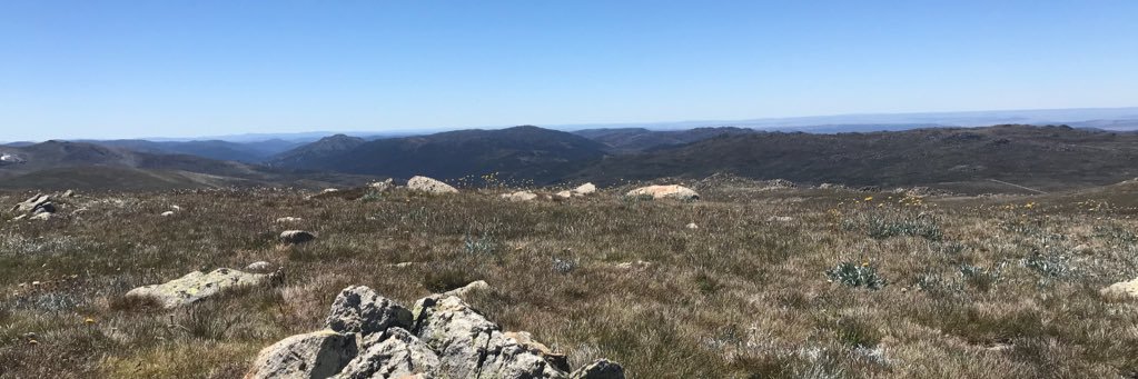 Victoria Millar banner