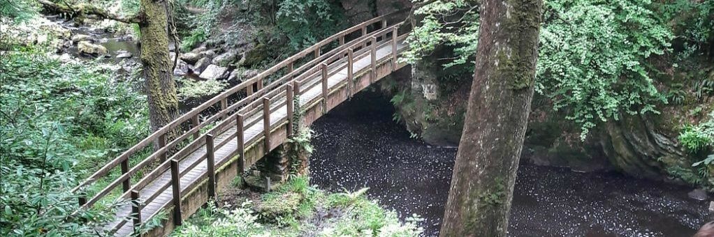 Michael Armstrong banner