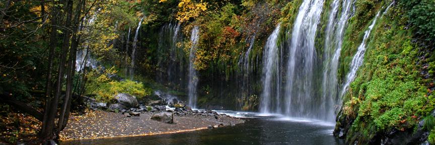Jill Townsend banner