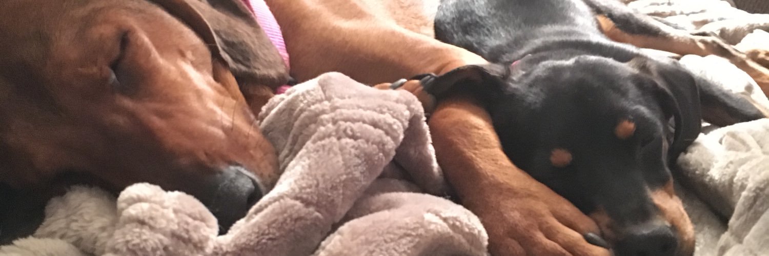 megstephh's profile banner image
