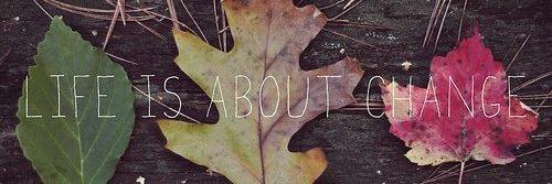 k8brochert's profile banner image