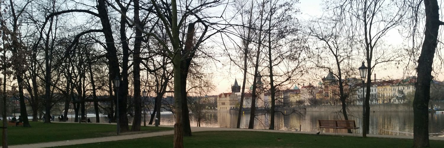 Zulchenok's profile banner image