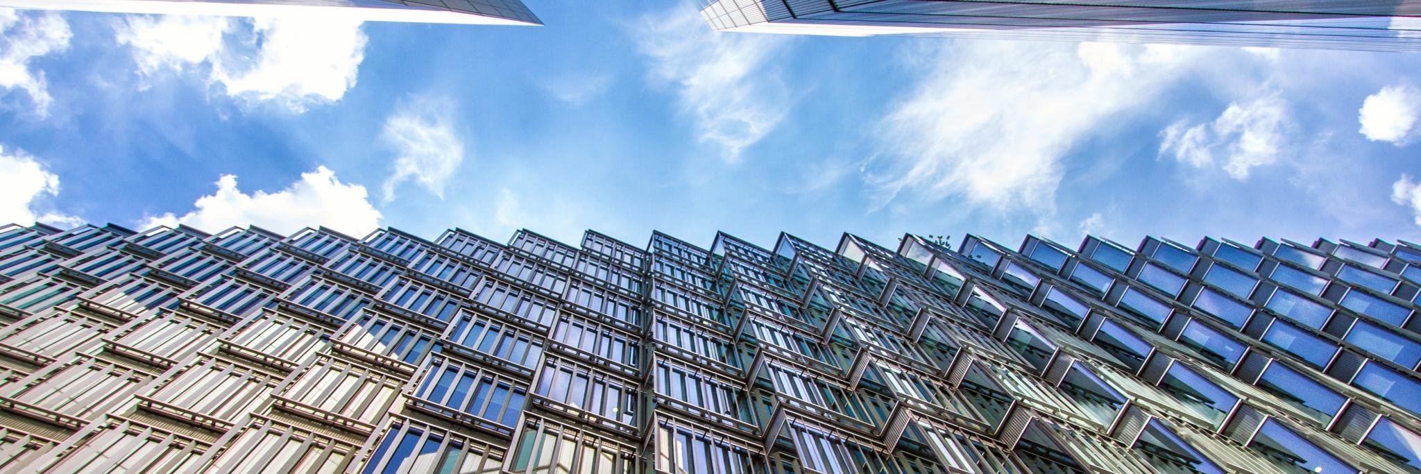 Davide Mancini banner