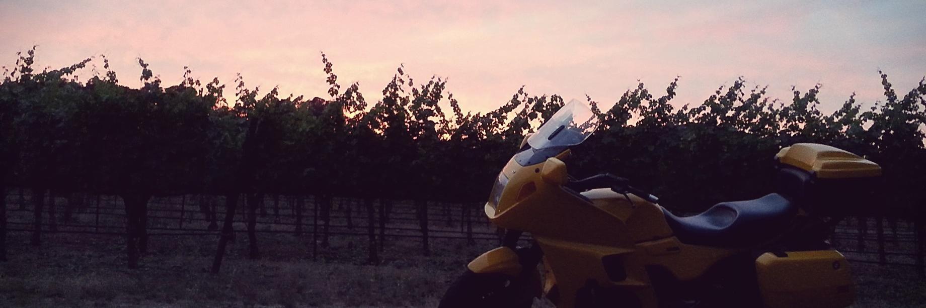 vinerider's profile banner image