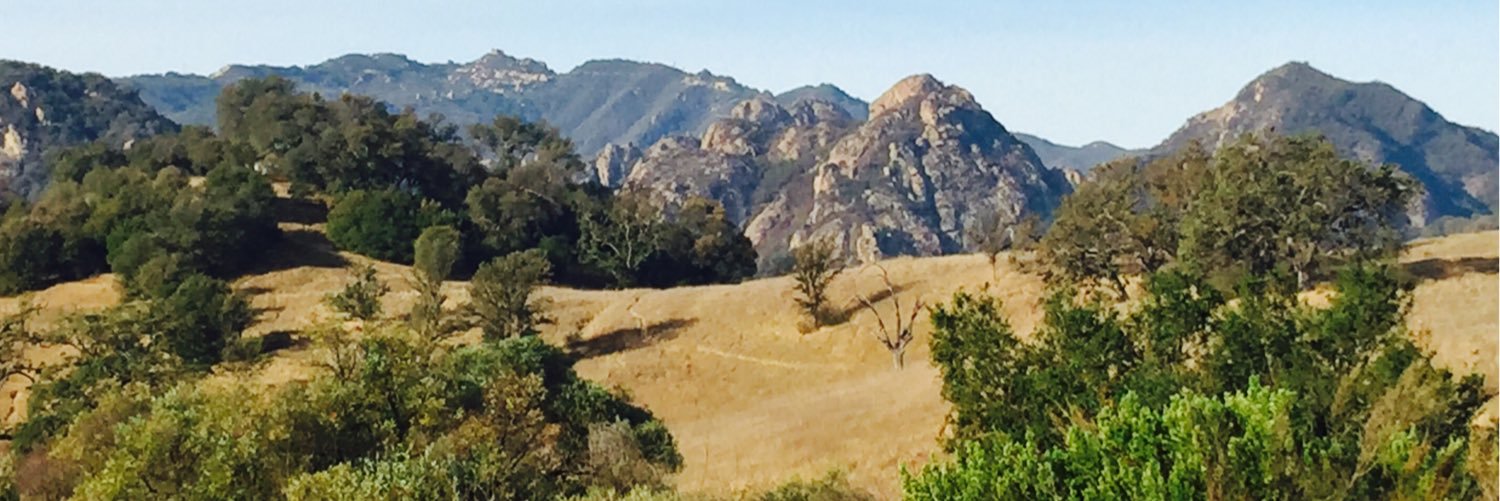 Richard Bloom banner