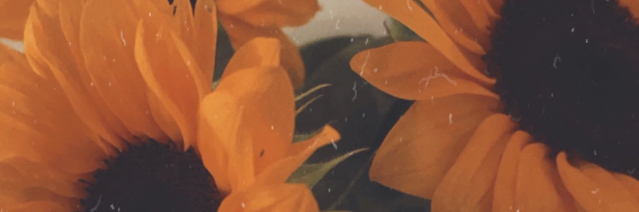 Fernis banner