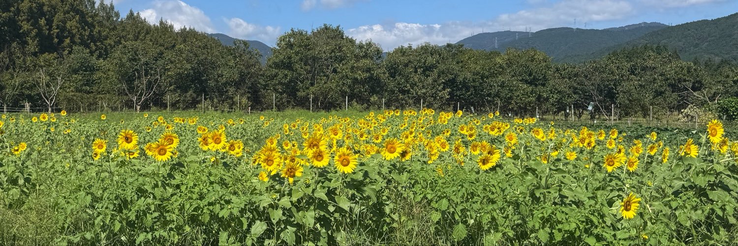 masakimuchi's profile banner image