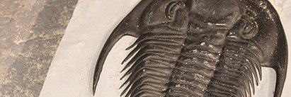 RckScience's profile banner image