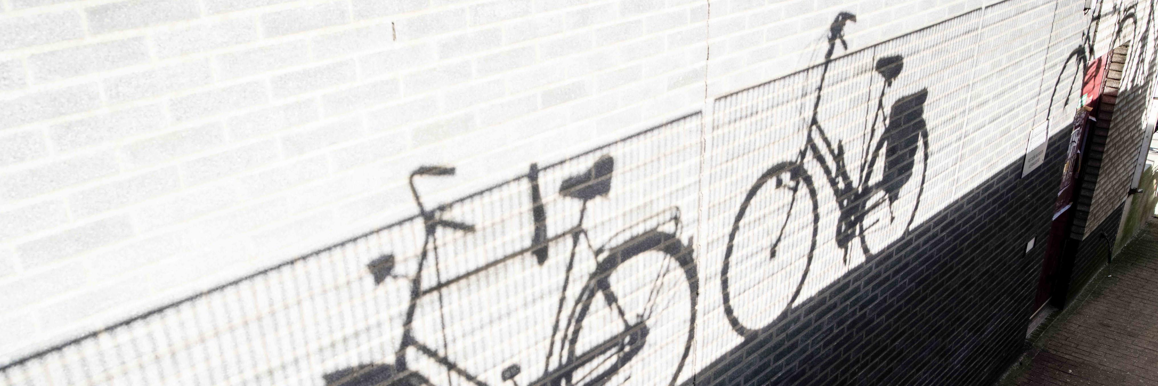 Pol van Tuijl banner