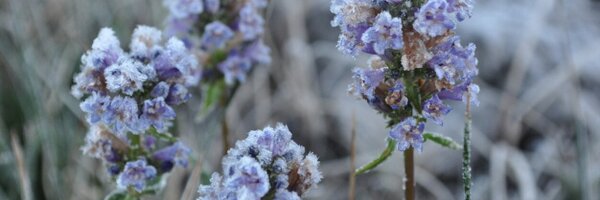 AlbrightLCB Profile Banner