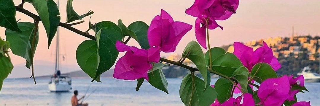 kanunitahir's profile banner image