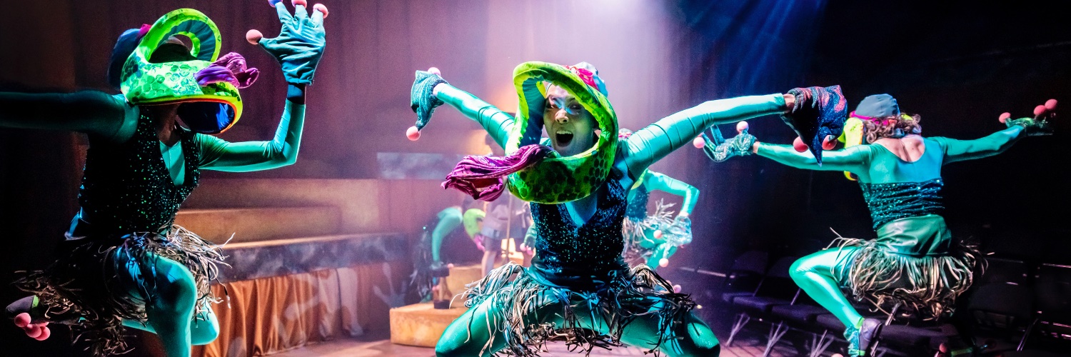 Georgie Rankcom banner