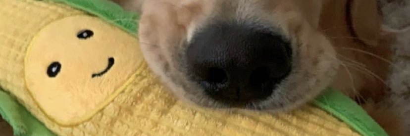 FlippinThePage's profile banner image