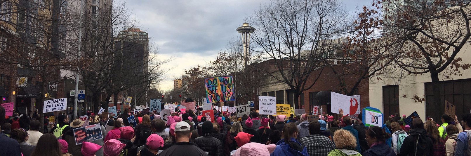 King County Dems banner