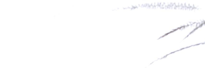 dijkreds's profile banner image