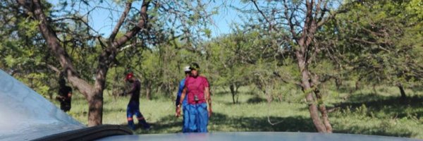 MistletoeTwists Profile Banner