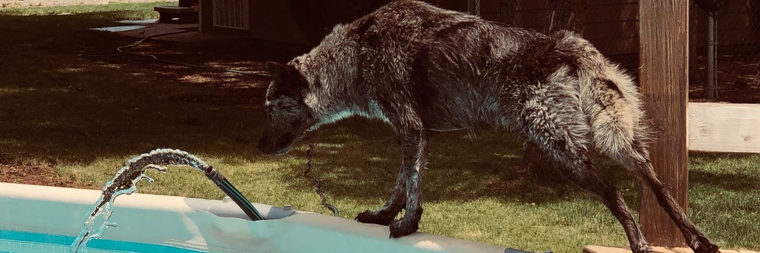 blake_crain's profile banner image