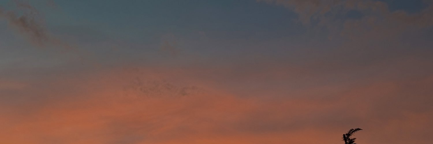 monvaldezm's profile banner image