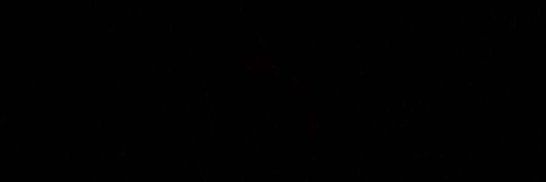 Lucca Ferreira banner