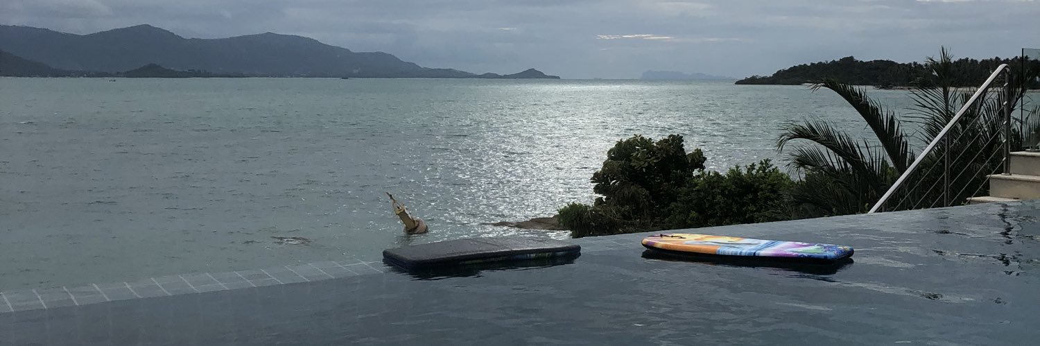 Ballerpanda1080 banner