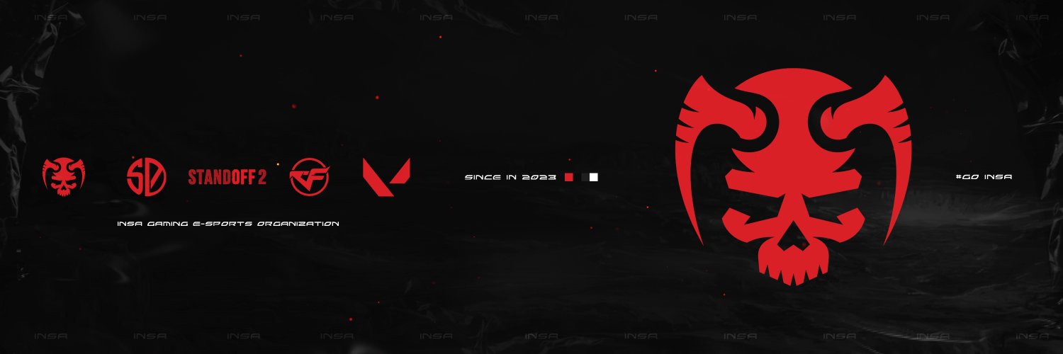 INSANITY ☠️ banner