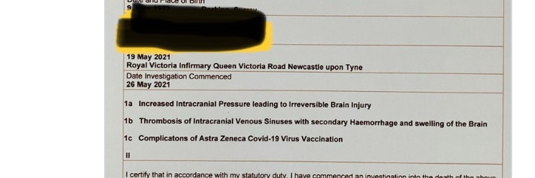 Sugar the growler-Vibuk banner