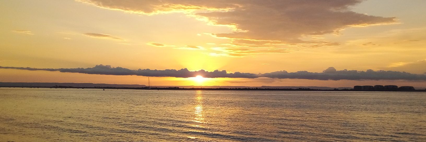 The Wicked 😈 banner